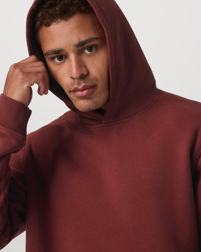 Seaside Pullover Hoodie Men's Spiced Apple Hoodie | Vuori shop